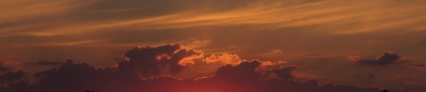 DSCN1465 (800x418)